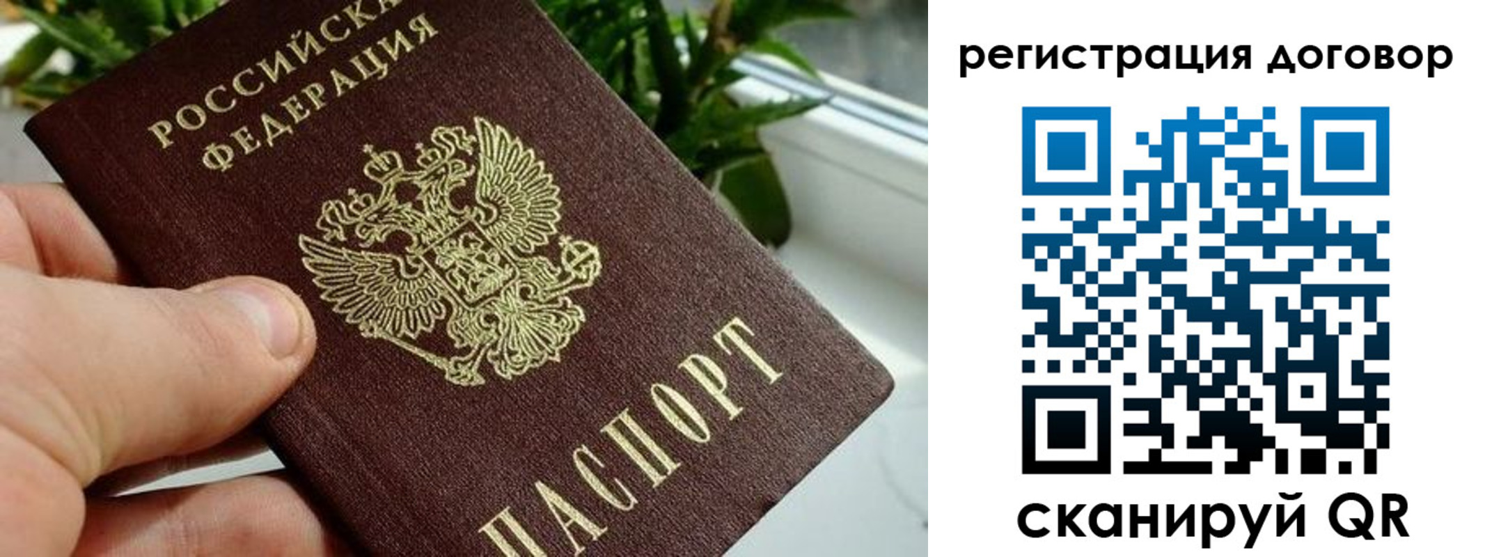 прописка ребенка в Курске